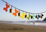 Dog bone flags.