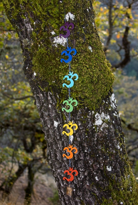 Chakra Om Chain.